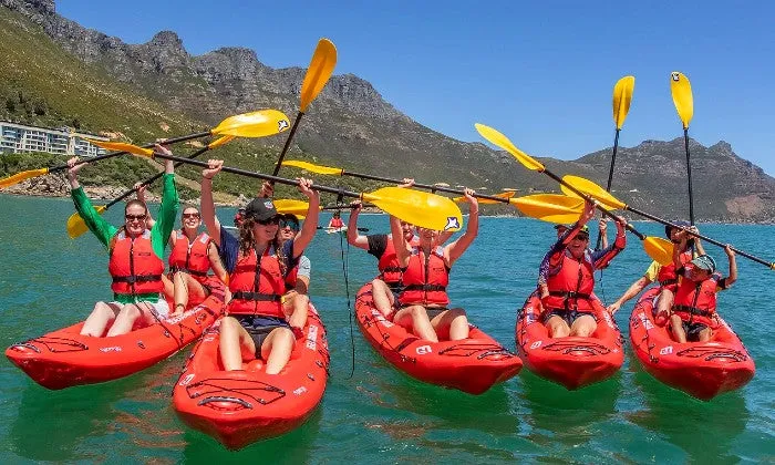 2-Hour Guided Kayak Tour with Animal Ocean Expeditions