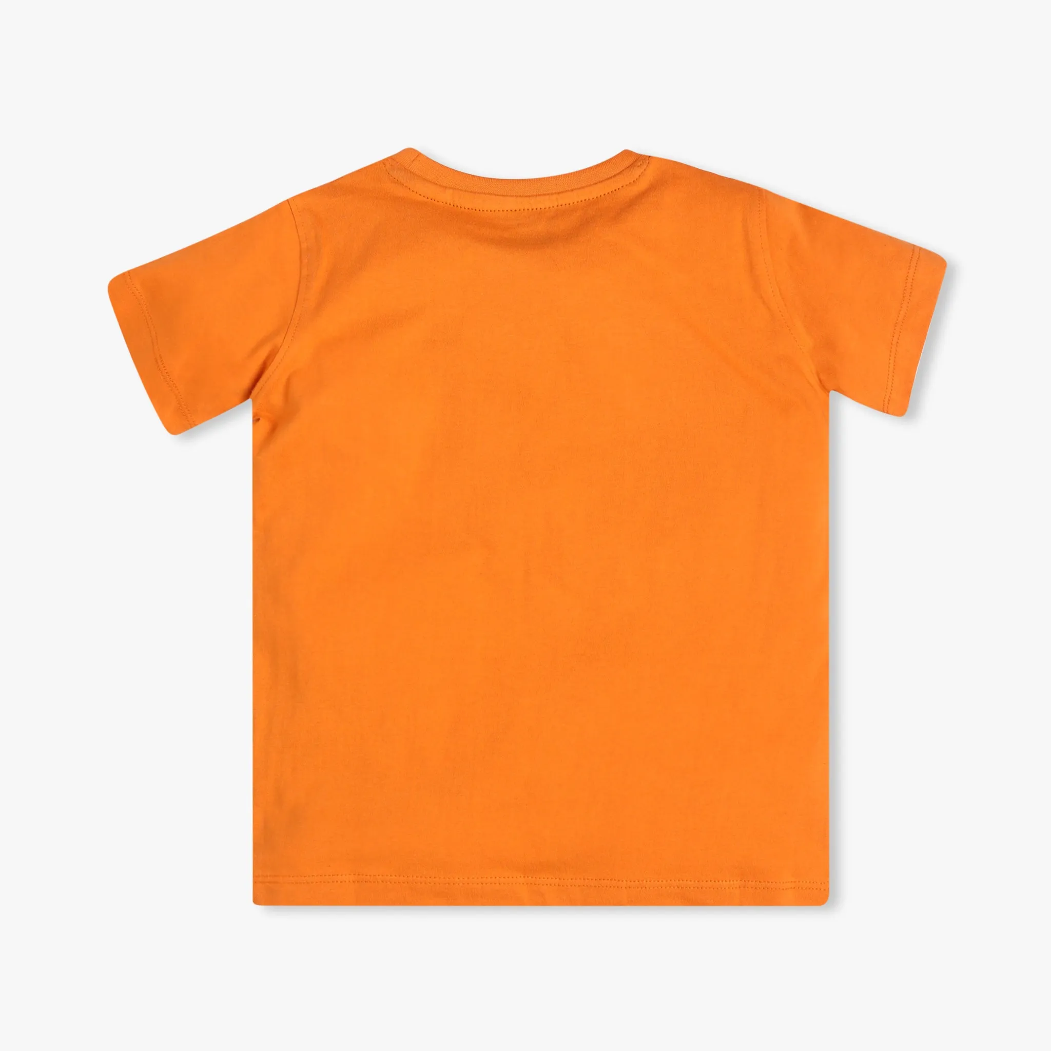 Boy's Regular Fit Graphic T-Shirt